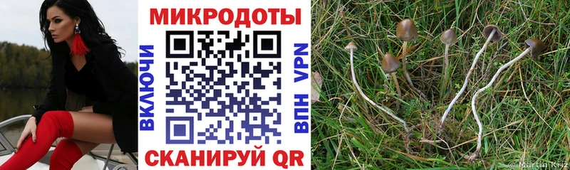Галлюциногенные грибы MAGIC MUSHROOMS  маркетплейс как зайти  Нижняя Тура 